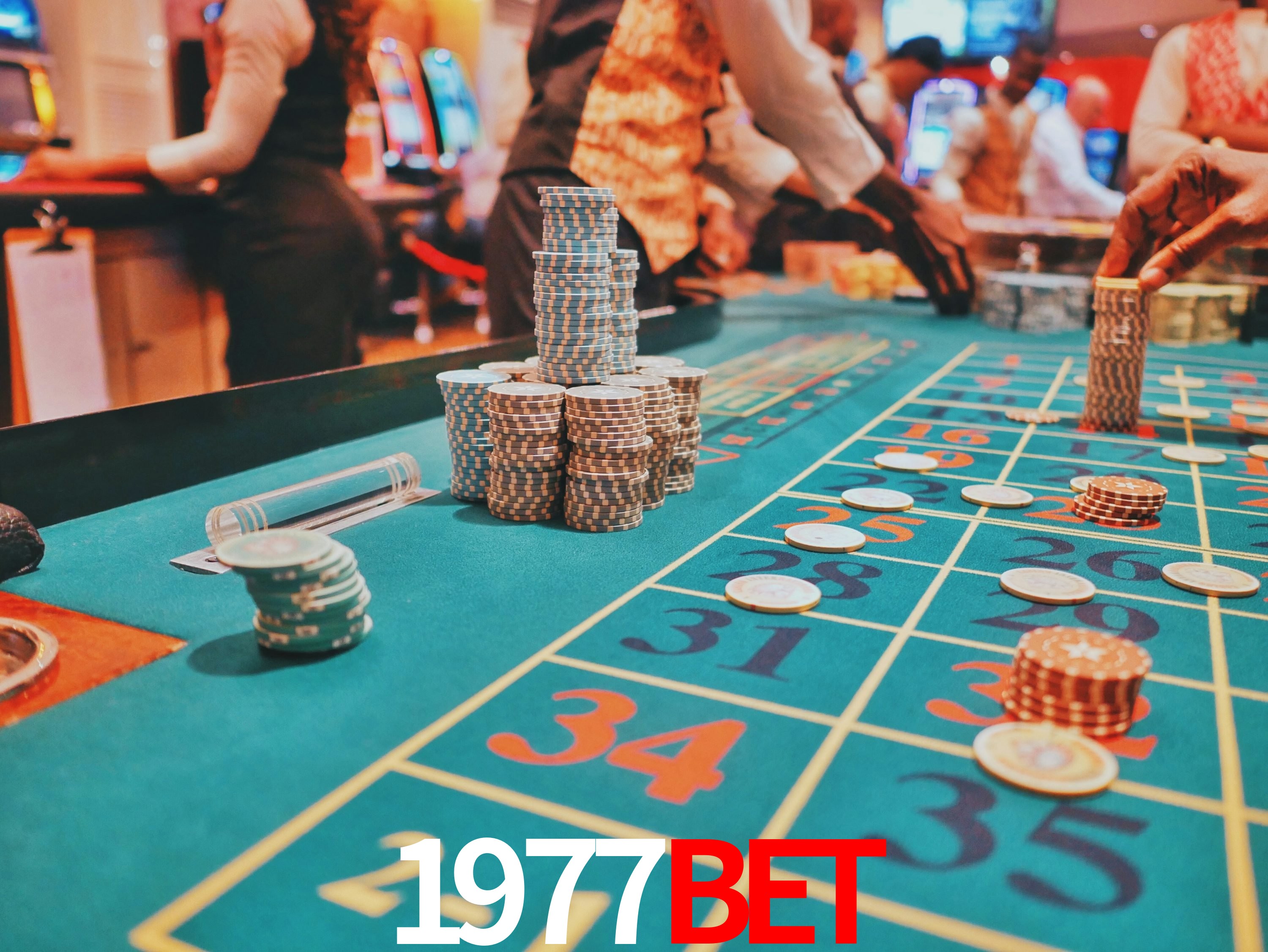 Sports Statistics 1977bet
